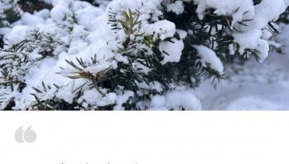 加密货币反复横跳，利好了数字资产？