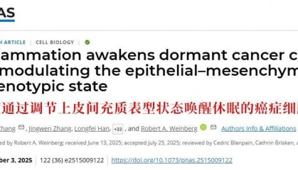 长期炎症会“唤醒”癌细胞！这份抗炎指南每个人都该看看