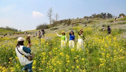 “气温过山车”！明天重庆最高33℃，后天雷雨+大风