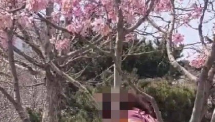 事发劳动公园！这4名女子，你们这么做不脸红吗？