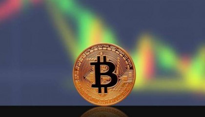 鹦鹉交易所：数字货币世界的新起点