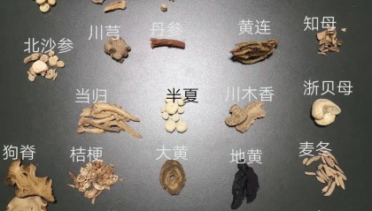 宋清辉:中药材商家为利益以次充好 或导致劣币驱逐良币情况出现