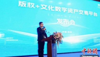 打造西部文化数字资产服务平台 “版权+”文化数字资产交易平台正式发布