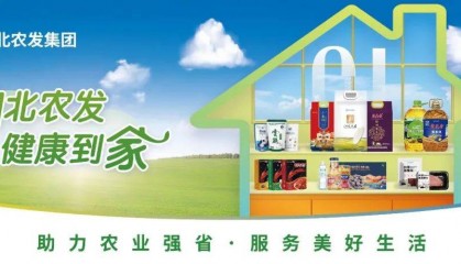 【党课讲稿】学习贯彻党的二十届四中全会精神（全文精选） 直接用！