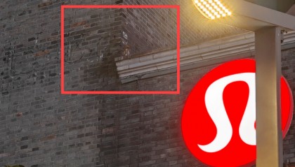 西湖边惊现“暗夜猎手”？网友拍下这一幕，专家一眼认出