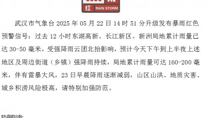 武汉发布暴雨临灾警报！武大校门被淹一米深