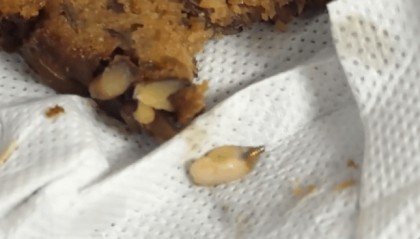 山姆枣泥核桃蛋糕吃出“一颗牙”？客服回应：很惊讶，已反馈工厂排查