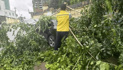 中国人寿财险全力应对台风“麦德姆”