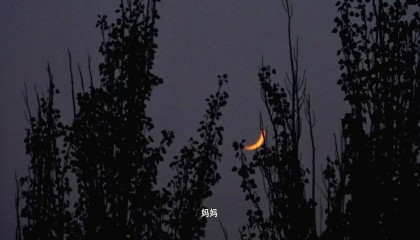 女孩为退休妈妈拍纪录片 发现节育环与诗