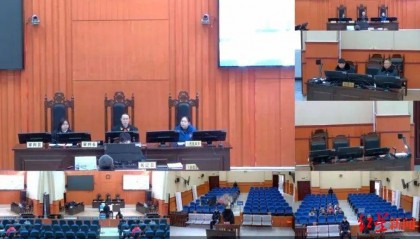 误以为有野生动物破坏玉米地,男子开枪意外击中在地里除草的母亲,法院判了