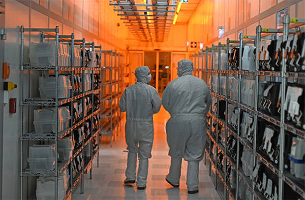 闻泰科技:荷兰想让本国企业接手,但没用,客户不会追随