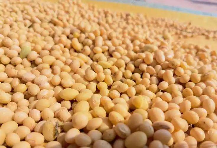 釜山会谈结束，中美没发联合声明，特朗普火速回国，绝口不提一事