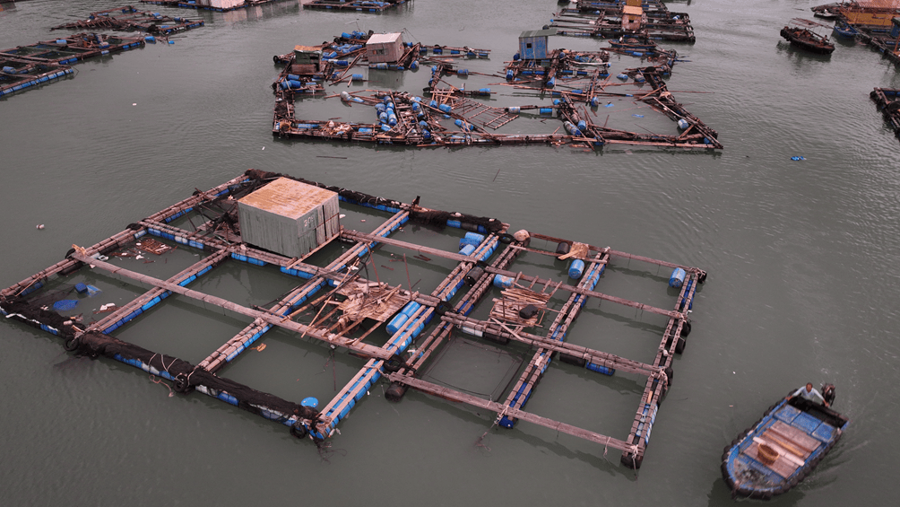 村镇导演追三个超强台风 拍下被遗忘的农民