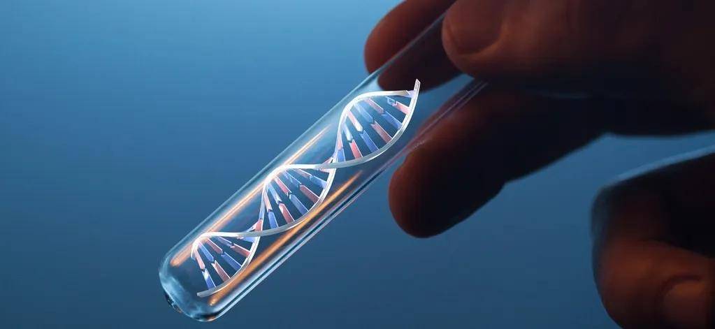 医生偷用自己的精子“助孕”，死后查出12个子女