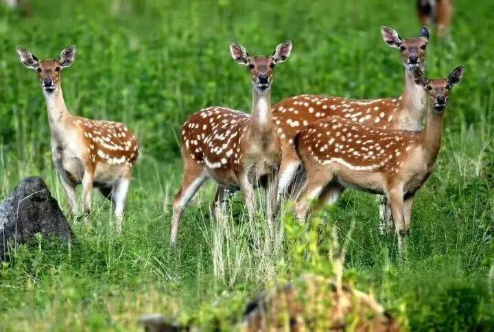 禁止任何形式穿越!杭州一地发布最严禁令