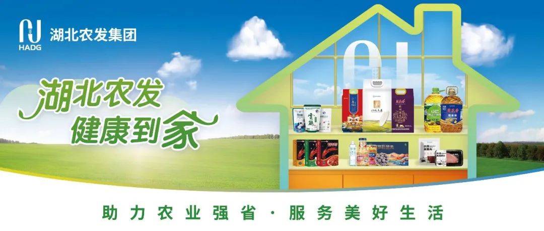 【党课讲稿】学习贯彻党的二十届四中全会精神（全文精选） 直接用！