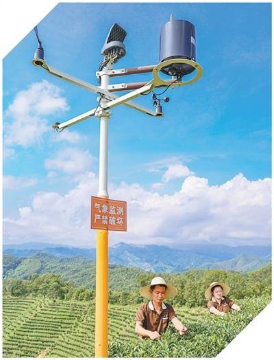 坚持“双碳”引领,推动全面绿色转型(稳中求进、提质增效 实现“十五五”良好开局)
