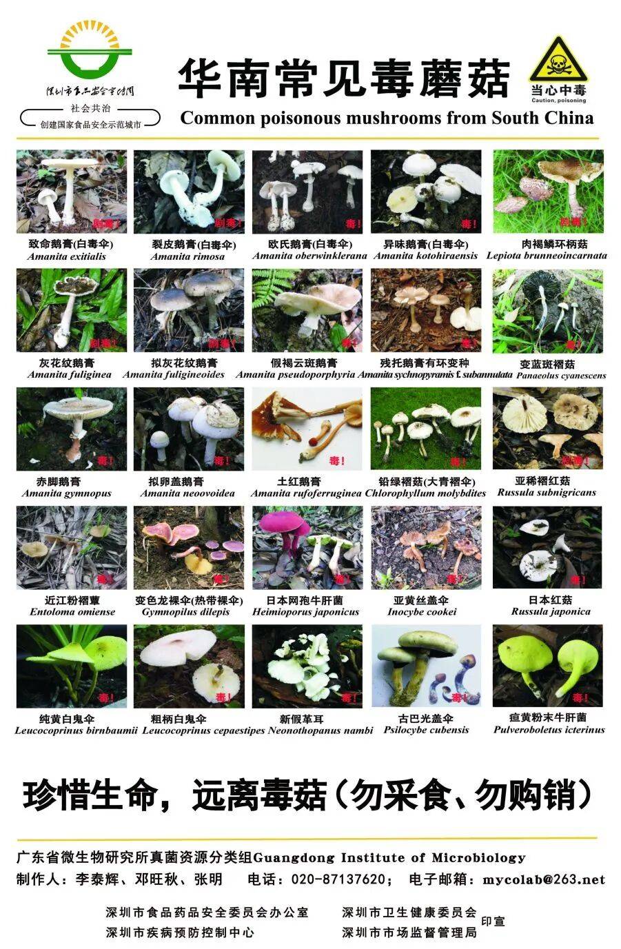 连吃两顿，深圳一女子突然变“社牛”！逢人就打招呼，手舞足蹈，医生：中毒导致幻觉