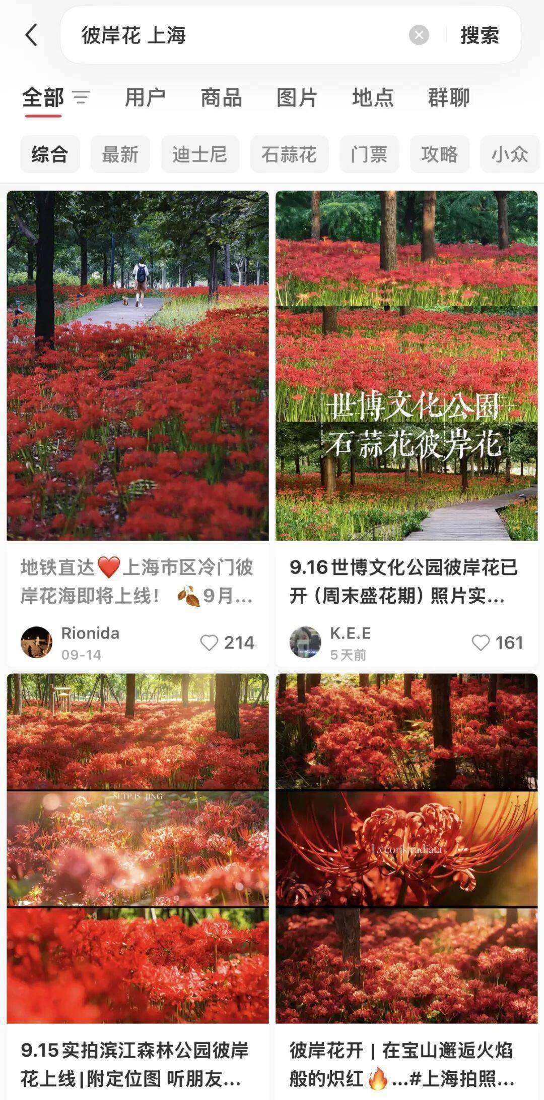 上海即将大降温，最低降到1字头！花中“顶流”进入盛开期，很美但别碰，有毒→