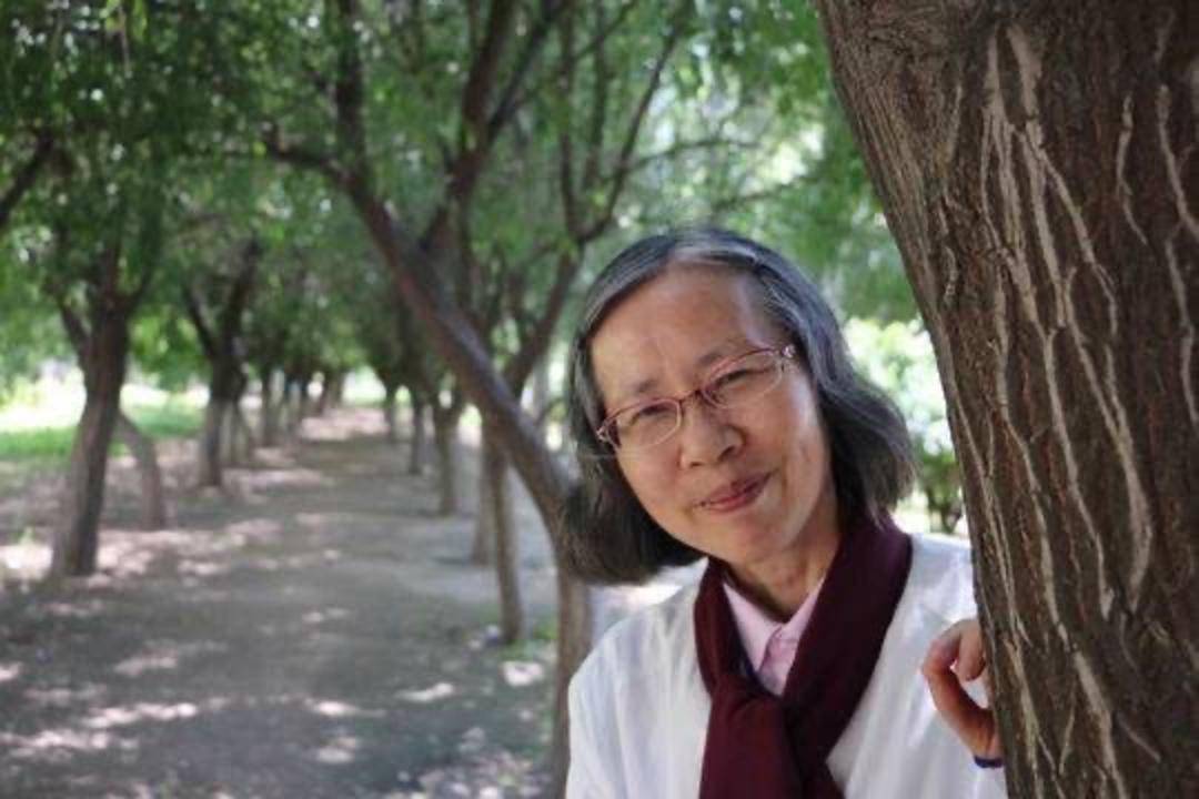 2026年诺贝尔文学奖今晚揭晓 中国作家残雪登顶诺奖赔率榜