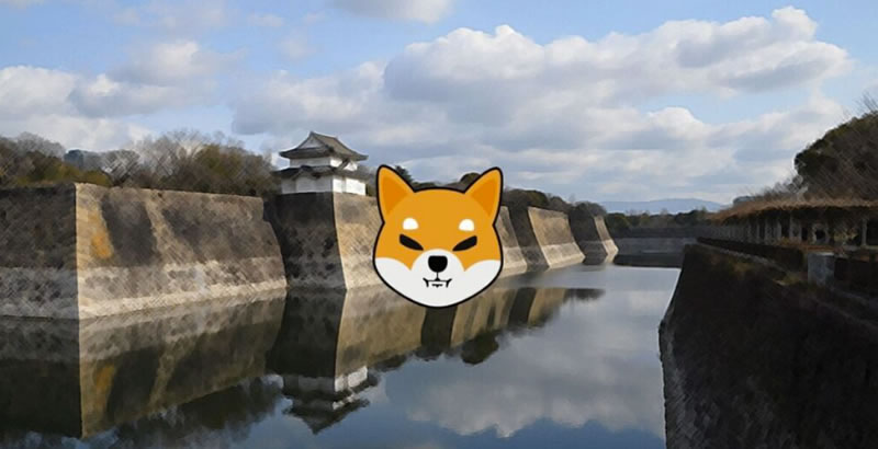 柴犬币怎么买(柴犬币怎么买入) 柴犬币怎么买(柴犬币怎么买入)